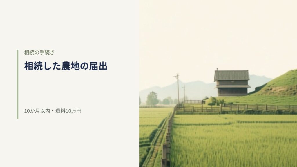 朝の光が差す日本の田んぼと畦道、奥に農家の建物が見える風景